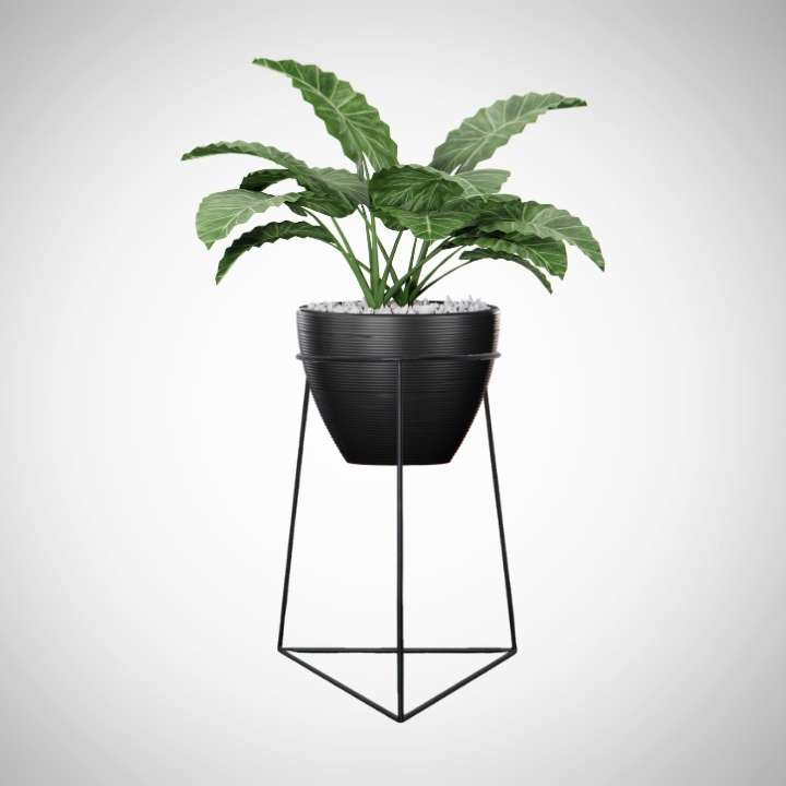 Bermuda Planter