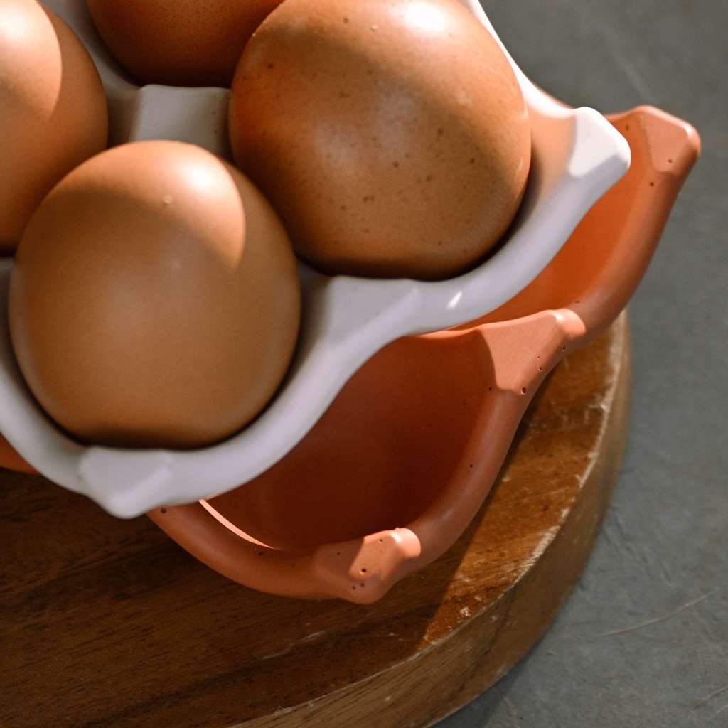 Egg Tray | in Terracotta