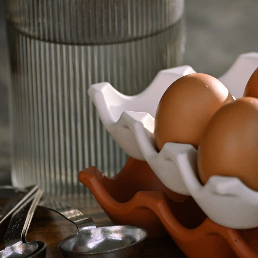 Egg Tray | in Terracotta